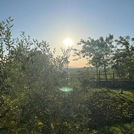 Koleci - Mrizi Zanave 3* Fishte