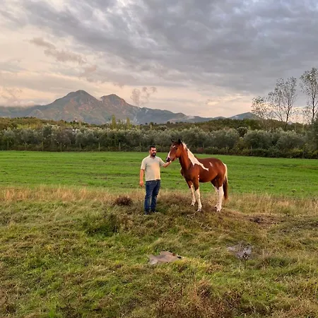 Konukevi Koleci - Mrizi Zanave Fishte