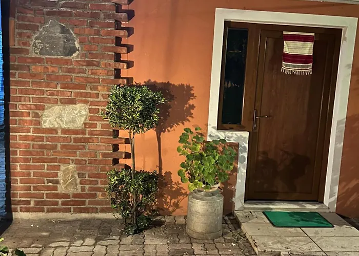 Koleci - Mrizi Zanave Fishte