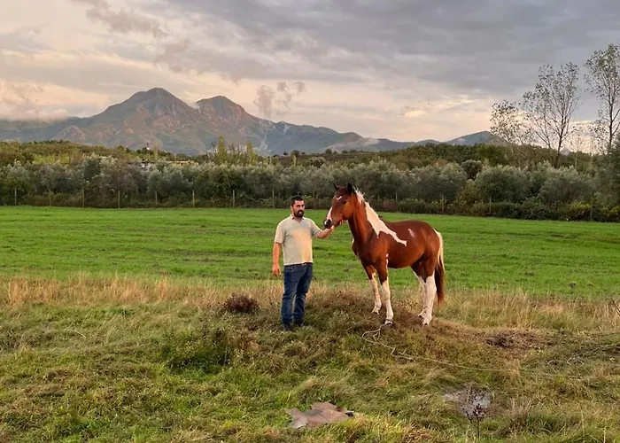 بيت ضيافة Koleci - Mrizi Zanave Fishte